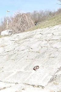 Antonia Sainz Pisses Down Stone Steps