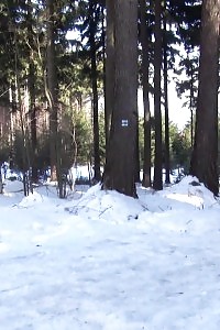Brunette Vixen Pisses In The Snow Outside
